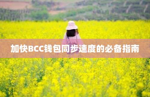 加快BCC钱包同步速度的必备指南