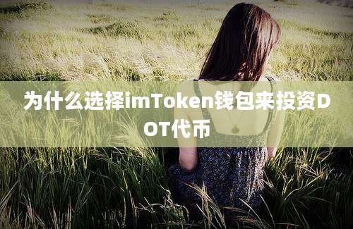 为什么选择imToken钱包来投资DOT代币