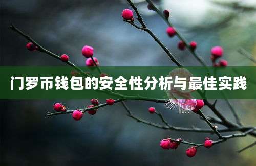 门罗币钱包的安全性分析与最佳实践