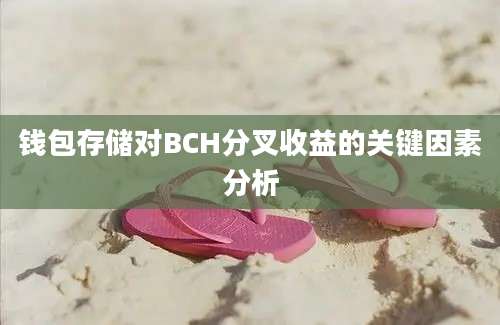 钱包存储对BCH分叉收益的关键因素分析