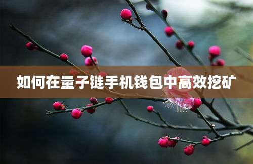 如何在量子链手机钱包中高效挖矿