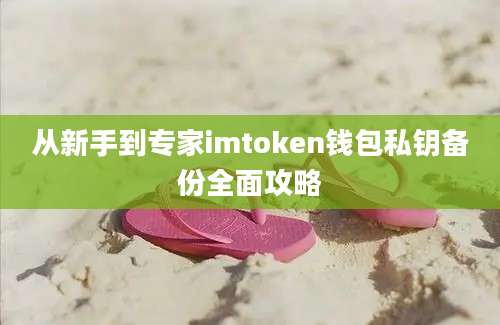 从新手到专家imtoken钱包私钥备份全面攻略