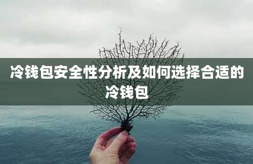 冷钱包安全性分析及如何选择合适的冷钱包